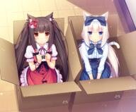 10s 2girls < animal_ears animal_tail ascot bangs black_hair blue_eyes blunt_bangs blush bow box breasts brooch brown_eyes buttons cardboard_box cat_ears cat_tail catgirl center_frills chocola_(sayori) chocolat clenched_hands cross-laced_clothes dress ears eyebrows_visible_through_hair female frilled_dress frills game_cg gelbooru gem hair_bow hair_ribbon high_resolution highres in_box in_container indoors jewelry light_particles lolita_fashion long_hair looking_at_viewer low_twintails mature multiple_females neko_works nekopara original pink_hair pinstripe_pattern polka_dot polka_dot_bow pout ribbon ribbon-trimmed_ornament ribbon_trim safe sayori sidelocks sitting slit_pupils small_breasts striped_pattern tail tail_ribbon tied_hair tile_floor tiles twintails v_arms vanilla vanilla_(sayori) very_long_hair white_hair wrist_cuffs yande.re // 1480x1226 // 2.2MB