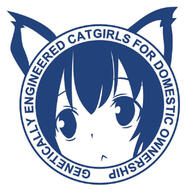catgirl meme // 800x800 // 148.2KB