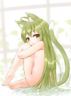 1_female ahoge animal_ears ass azur_lane bangs barefoot blush breasts brown_eyes cat_ears cat_tail catgirl ears female green_hair hair_between_eyes highres kamisaka kemonomimi_mode leg_hug long_hair looking_at_viewer mole mole_under_eye nude parted_lips safebooru sankaku_channel sitting small_breasts soles solo tail thighs very_long_hair // 1000x1355 // 889.0KB