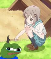 meme pepe yama_no_susume // 487x560 // 898.5KB