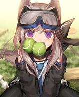 1_female animal_ear_fluff animal_ears animal_tail ball bangs between_legs black_jacket black_legwear blue_neckwear blurry_background brown_hair canine cardigan_(arknights) commentary danbooru danbooru-safebooru dated depth_of_field detached_sleeves dog dog_girl doggirl ears eyebrows_visible_through_hair eyewear_on_head fangs female gelbooru goggles goggles_on_head googles grey_hair hair_between_eyes hand_between_legs jacket mammal mature medium_hair mouth_hold necktie pantyhose safe safebooru scarf shirt tail white_shirt // 740x907 // 121.7KB