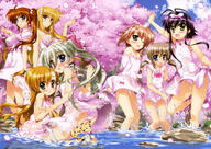 10s 5_females 6+_females absurd_resolution absurdres ass asteion blonde_hair blue_eyes blush breasts brown_hair cherry_blossoms china_dress chinese_clothes cleavage clothes_lift corona_timir d dress einhart_stratos fangs fate_testarossa female fujima_takuya green_eyes heterochromia high_resolution huge_filesize light_brown_hair long_hair lyrical_nanoha mahou_shoujo_lyrical_nanoha mahou_shoujo_lyrical_nanoha_vivid mature miura_rinaldi multiple_females o open_mouth panties petals pink_panties ponytail purple_hair rio_wezley sacred_heart scan see-through side_ponytail skirt skirt_lift smile takamachi_nanoha tied_hair underwear vivio wading wet wet_clothes // 5769x4099 // 3.6MB