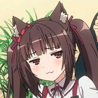 nekopara reaction smug // 320x320 // 23.3KB