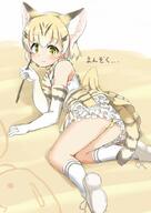 kemono_friends // 707x999 // 112.3KB