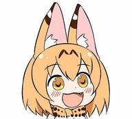 gyate_gyate kemono_friends serval // 720x652 // 33.3KB