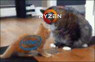 amd intel meme tech // 435x284 // 2.1MB