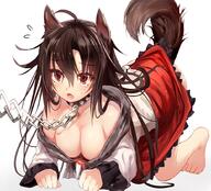 animal_ears doggirl tail // 1000x907 // 245.4KB