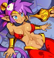 shantae // 925x1000 // 165.2KB