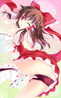 hakurei_reimu touhou // 750x1200 // 526.9KB