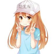 hataraku_saibou loli // 1080x1046 // 67.3KB