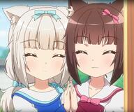 loli nekopara // 1630x1361 // 193.8KB