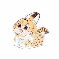 kemono_friends serval // 1000x1000 // 61.2KB