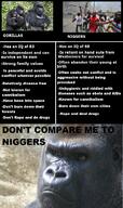 infographic meme pol // 738x1244 // 1.2MB
