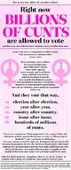 feminism infographic meme pol // 428x1024 // 115.5KB