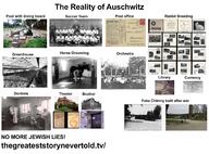infographic jew meme pol // 2000x1481 // 742.6KB