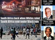 infographic meme niggers pol // 551x400 // 96.8KB