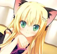 animal_ears cat_ears // 1568x1484 // 1.3MB