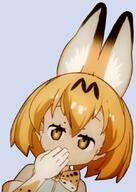 anime character_request creator e image joy kemono_friends reaction serval smug smug_anime_girl // 599x845 // 45.1KB