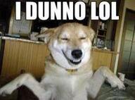 dog meme reaction // 251x186 // 8.5KB