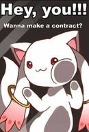 madoka_magica meme // 640x943 // 48.9KB