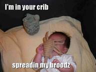 meme // 400x300 // 22.9KB