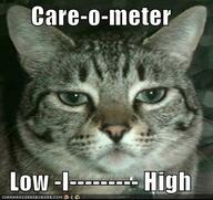 cat meme reaction // 433x409 // 34.3KB