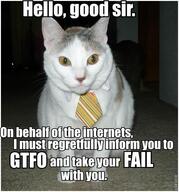 cat meme // 565x606 // 64.8KB