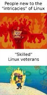 fire linux memes // 538x1085 // 116.8KB