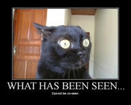 cat meme // 400x320 // 38.1KB