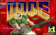 doge meme // 644x404 // 211.0KB
