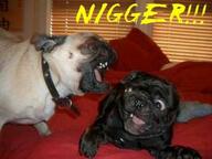 dog meme // 399x300 // 18.8KB