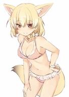 animal_ears fennec kemono_friends tail // 518x725 // 47.7KB