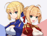 fate saber // 902x692 // 530.0KB