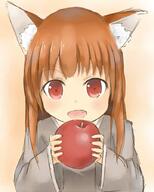 animal_ears fox_ears loli // 720x900 // 66.2KB