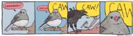 falseknees falseknees_comic_158 is_this_bitch_for_real_right_now meme // 1100x300 // 603.9KB