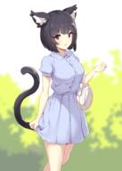 1_female 2018 animal_ears animal_humanoid animal_tail art azur_lane banned_artist blouse blue_blouse blue_skirt blurry blurry_background casual cat_humanoid catgirl checkered checkered_skirt clothed clothing commentary_request covered_breasts cowboy_shot ears eyebrows_visible_through_hair felid felid_humanoid feline feline_humanoid female gelbooru hair hand_up high_resolution highres humanoid ikomochi mammal mature medium_breasts pleated_skirt puffy_short_sleeves puffy_sleeves purse rswxx safe safebooru sankaku_channel shiny_hair short_sleeves skirt skirt_hold tail unmoving_pattern white_bow yamashiro_(azur_lane) yande.re イコモチ シャツワンピ 山城ちゃん // 1430x2000 // 1.5MB