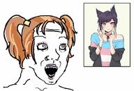 meme trans troon // 1020x696 // 111.2KB