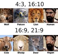 aspect_ratio meme // 640x600 // 438.8KB
