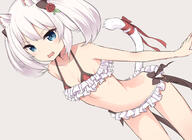 animal_ears bikini tail // 1569x1144 // 733.3KB