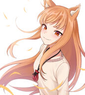 1_female animal_ear_fluff animal_ears blush brown_hair child_(isoliya) commentary ears eyebrows_visible_through_hair female high_resolution holo long_hair long_sleeves looking_at_viewer point_of_view pouch red_eyes safe simple_background smile solo spice_and_wolf white_background wolf_ears wolf_girl // 1200x1338 // 767.2KB