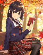 1_female ahoge alternate_costume alternate_eye_color autumn autumn_leaves bench black_hair black_legwear book braid brown_eyes calligraphy_brush commentary cowboy_shot female gelbooru hair_flaps hair_over_shoulder kantai_collection legwear looking_at_viewer moyasi3409854 outside paintbrush pantyhose park_bench plaid plaid_skirt pleated_skirt point_of_view red_skirt remodel_(kantai_collection) safe sailor_uniform school_uniform schoolgirl_uniform shigure_(kantai_collection) single_braid sitting skirt solo traditional_media tree uniform // 700x904 // 741.9KB