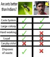 ant indian meme // 768x866 // 142.0KB