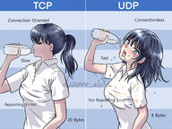 meme tcp tech udp // 1280x960 // 233.6KB