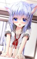 animal_ears blue_hair chino_kafuu gochiusa gochuumon_wa_usagi_desu_ka? loli // 1113x1754 // 2.9MB