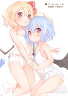 flandre_scarlet sakurea touhou // 1032x1457 // 772.8KB