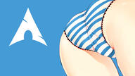 archlinux linux panties tech // 1920x1080 // 222.2KB