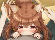 animal_ears blush brown_eyes brown_hair close ears eyes female loli psyche3313 raphtalia tail tate_no_yuusha_no_nariagari // 1044x773 // 486.6KB