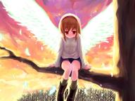 1_female 43_aspect_ratio board brown_hair danbooru eyes female gelbooru hair hairband image in_tree kanon minamura_haruki red_eyes sad safe short_hair sitting sitting_in_tree solo spread_wings sunset sweater topwear tree tsukimiya_ayu wallpaper wings // 1024x768 // 76.4KB