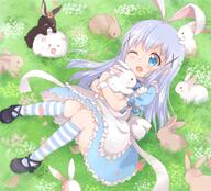 1_female 1girl angora_rabbit animal animal_ears anko_(gochiusa) araki495 blue_bow blue_eyes blue_hair bow bunny bunny_ears danbooru ears explicit eyes female gelbooru gochiusa gochuumon_wa_usagi_desu_ka gochuumon_wa_usagi_desu_ka? hair hair_ornament kafuu_chino lagomorph light_blue_hair lolibooru.moe long_hair mammal one_eye_closed pixiv_70037330 pixiv_89056 rabbit rabbit_ears safe striped striped_legwear tippy tippy_(gochiusa) x_hair_ornament うさチノちゃん 理紅 // 1232x1118 // 1.7MB