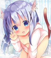 animal_ears breasts cat_ears cleavage ears gochiusa_1000_users_bookmark gochuumon_wa_usagi_desu_ka? kafuu_chino rikako rikatan チノ 猫耳チノにゃんはいかがですか？ 裸パーカー // 600x673 // 296.2KB